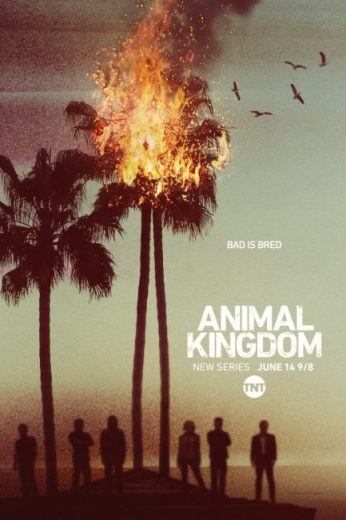 مسلسل Animal Kingdom الموسم الاول الحلقة 6 مترجمة